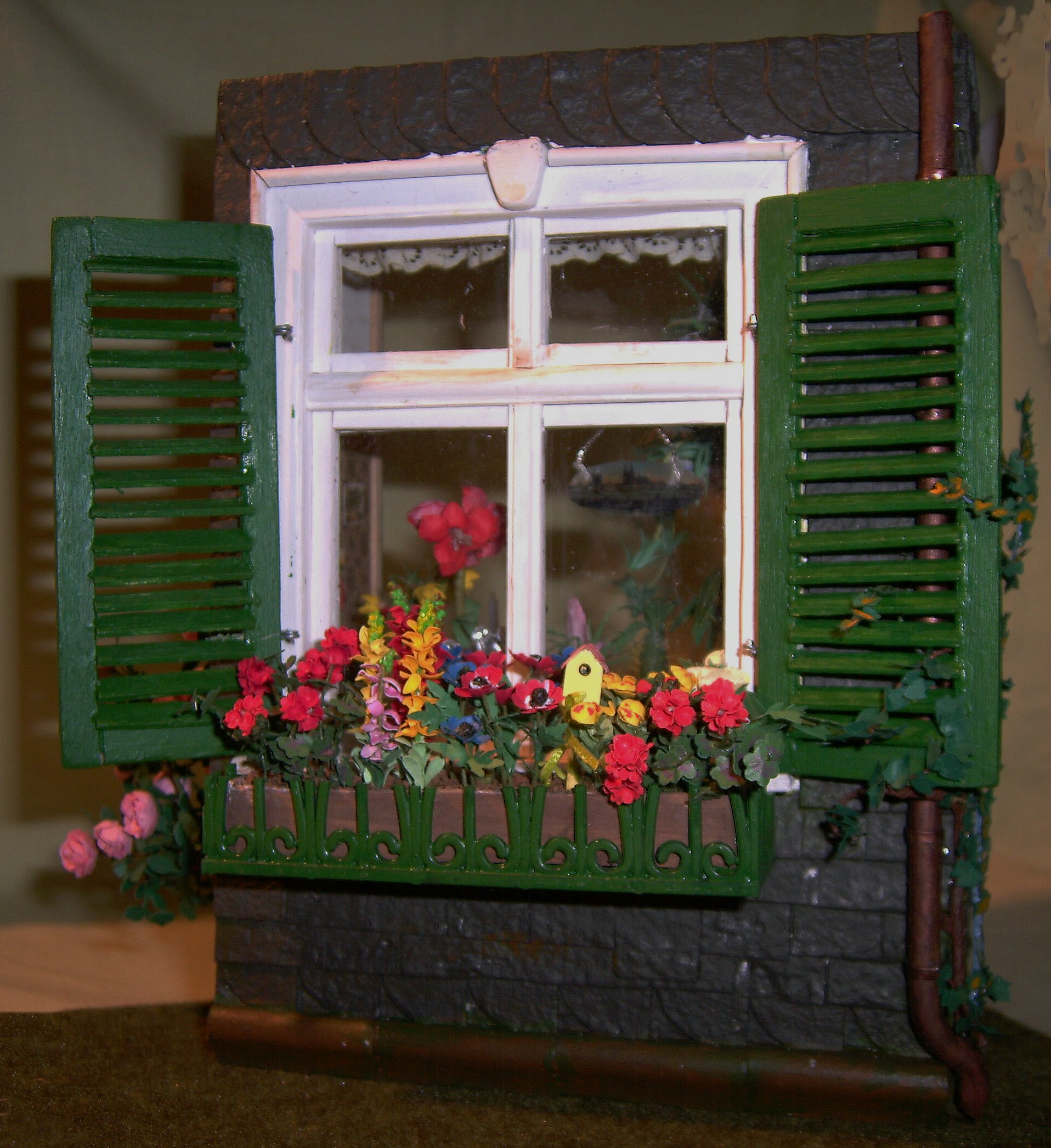 Blumenfenster des Nachbarn gegenüber